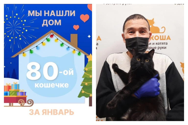 Кошка Шарлин стала домашней!