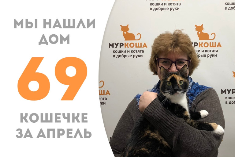 Кошечка Калевала обрела домашнее счастье! 