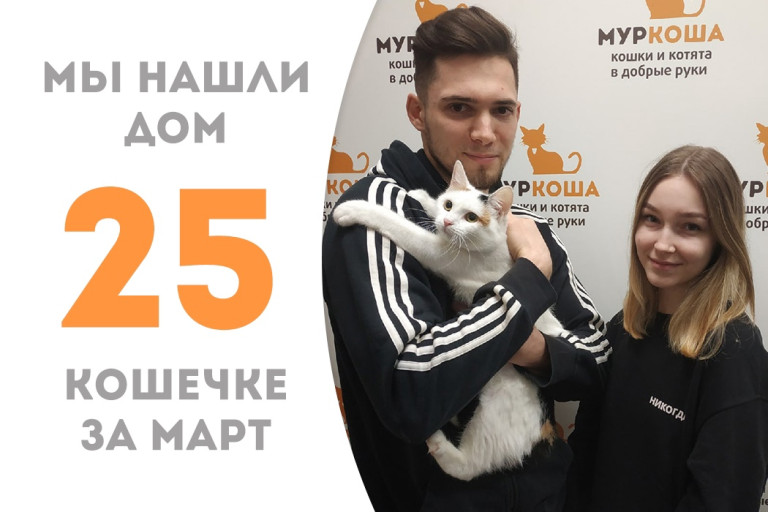 Кошечка Канапэ теперь домашняя!
