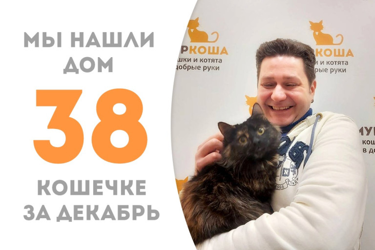 Годовалая кошечка Каштанка обрела своего человека!