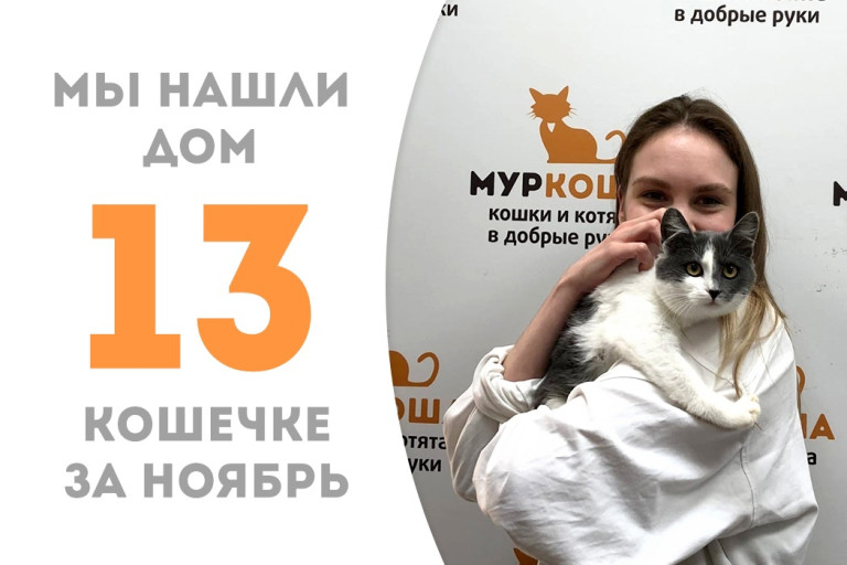 Малышка Катария за полтора месяца в приюте нашла себе добрую хозяйку!