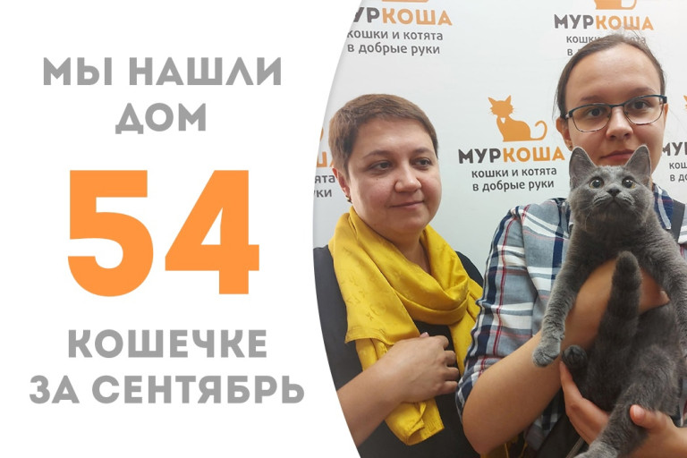 Шестимесячная кошечка Катцу уехала домой через два месяца после появления в приюте! 
