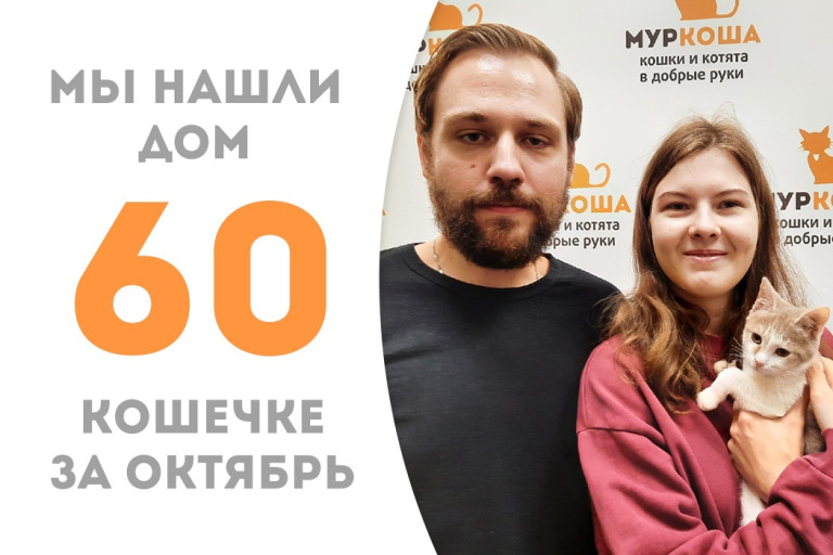 Менее чем за три месяца пятимесячная кошечка Катушка нашла себе добрую семью! 