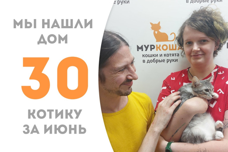 Четырёхмесячный котёнок Келвин нашёл себе семью и дом менее чем за месяц! 