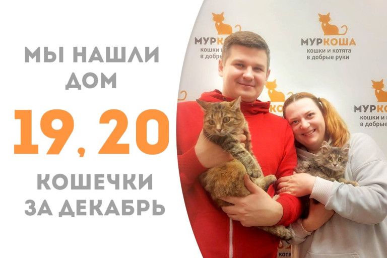 Мама-кошка Кезия и её дочь Гилма отправились домой вместе после полуторамесячного пребывания в приюте! 
