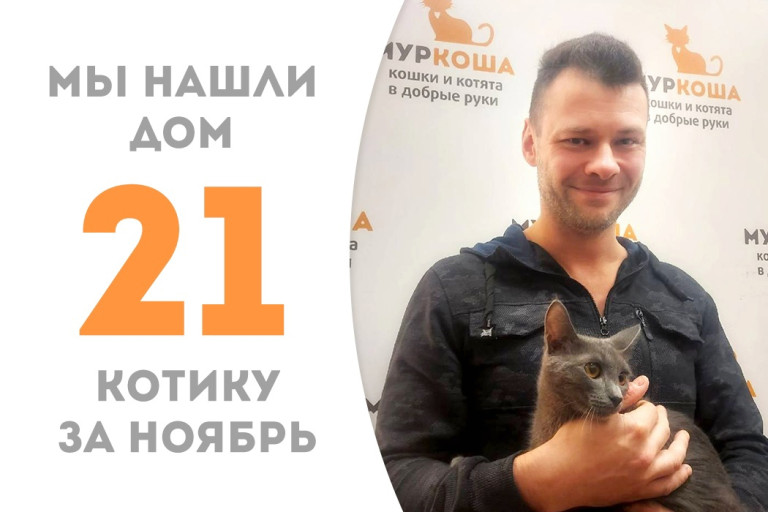 Котёнок Харпер за два месяца в приюте нашёл себе дом и доброго друга! 