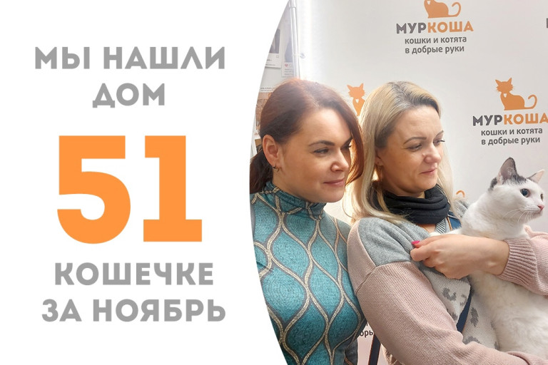 Полуторагодовалая кошечка Хэми встретила добрую семью! 