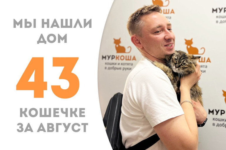 Одиннадцатилетняя кошечка Хонда вновь стала домашней любимицей! 