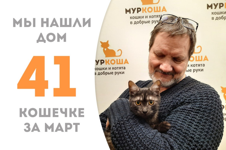 Кошечка Хорошечка теперь домашняя и счастливая!