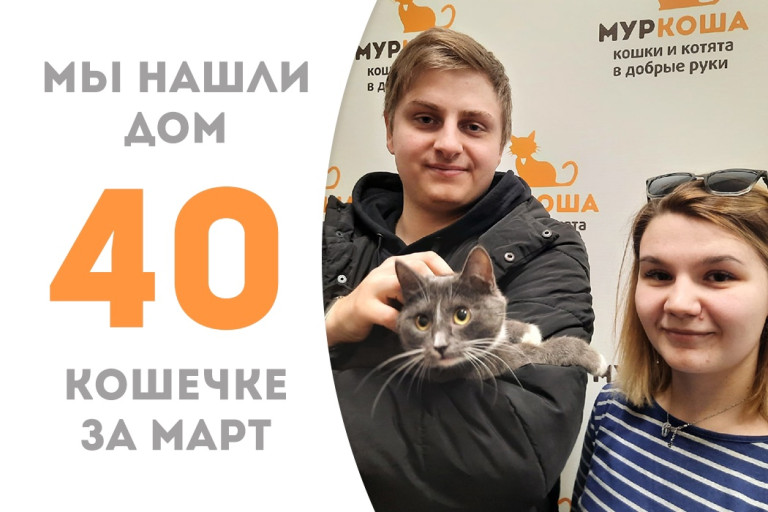 Кошечка Хубабуба стала домашней! 