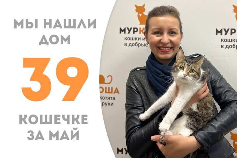 Всего за два месяца кошечка Кисси Мисси очаровала человека и уехала домой!