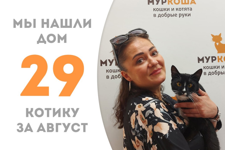 Котик Киссинджер уехал в дом где будет любим и счастлив! 