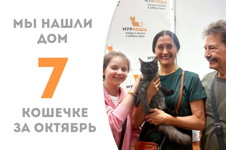 Пробыв два месяца в приюте, котёнок Кисточка отправилась в домашнюю жизнь! 
