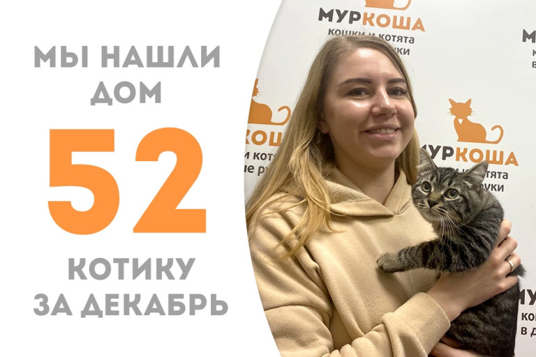 Котёночек Колдунчик через три месяца в приюте стал домашним любимчиком!