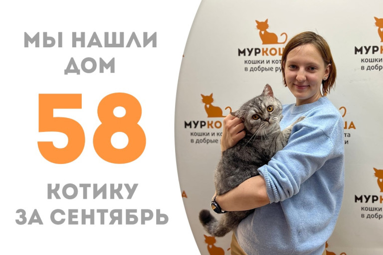 Котик Комендант нашёл своё домашнее счастье!