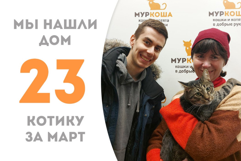 Котик Комикс уезжает домой!