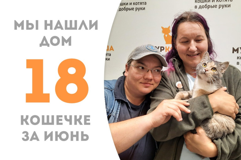 Кошечка Коричка спустя месяц в приюте обрела дружную семью и дом!