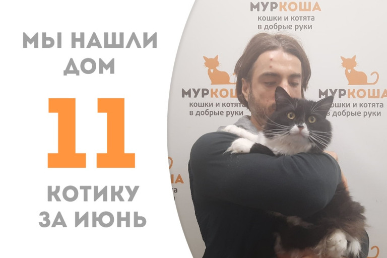 Уличный котик Кову обрёл своего человека и дом! 