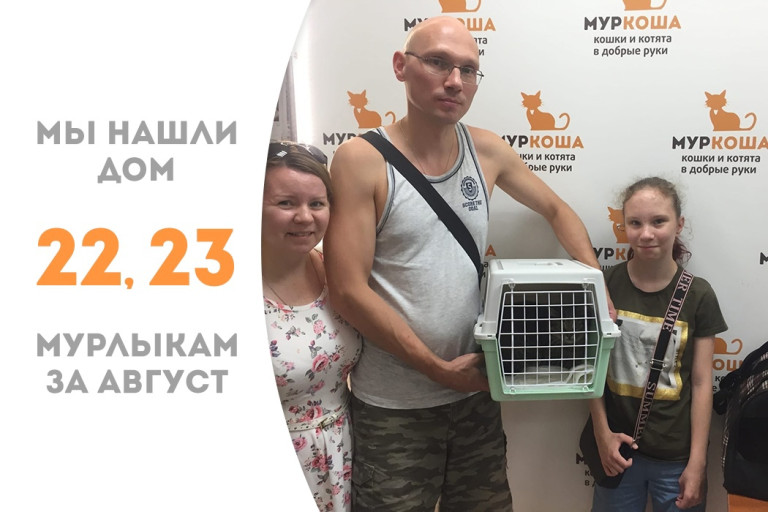 Брат и сестра – котик Круня и кошечка Кайра уезжают жить вместе в замечательную семью! 