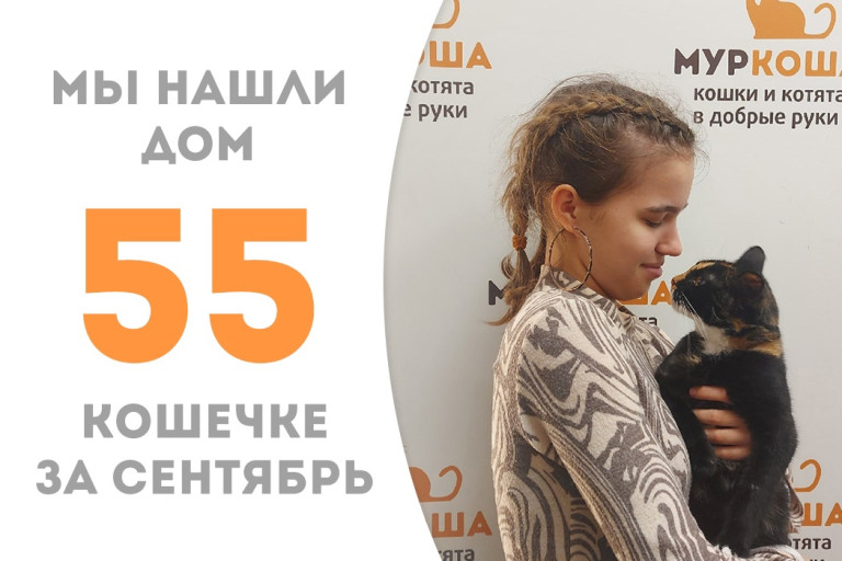 Кошечка Кутуша обрела замечательных хозяев, пробыв три с небольшим месяца в приюте! 