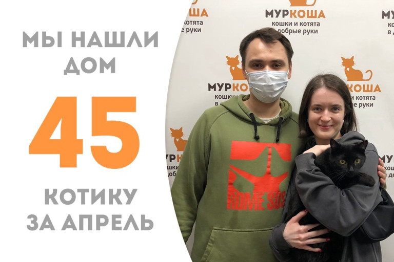 Ласковый котик Квасик нашёл свою семью! 