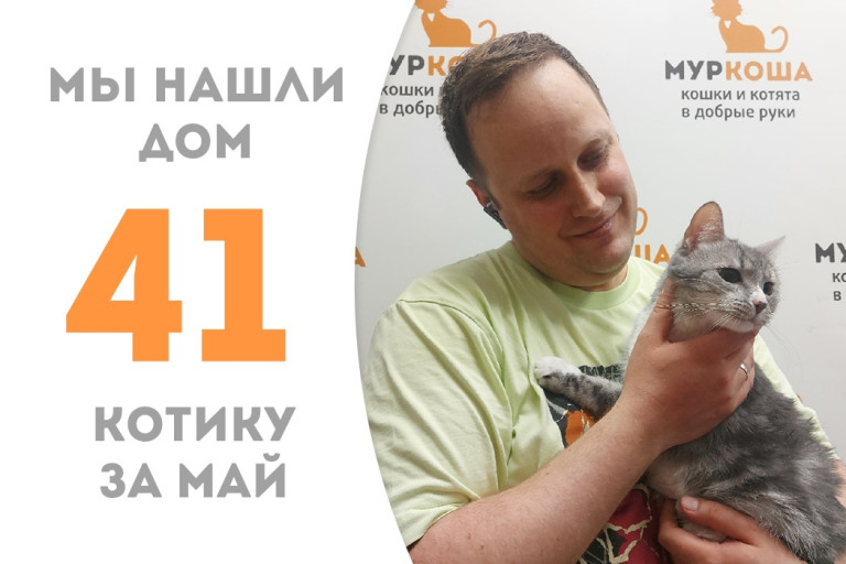 Котик Лафик покорил сердце человека и уехал жить к нашей выпускнице! 