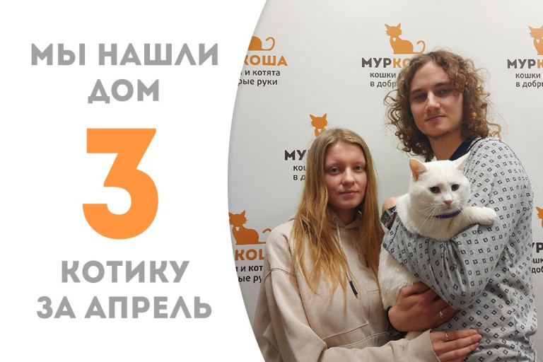 Кот Лакмус встретил свою семью!