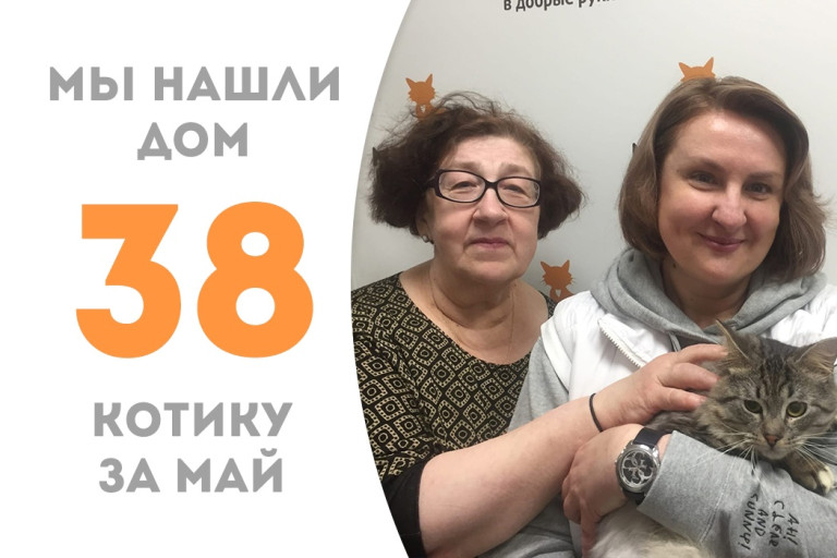 Котик Лэй, спасённый с дач, обрёл своё счастье!