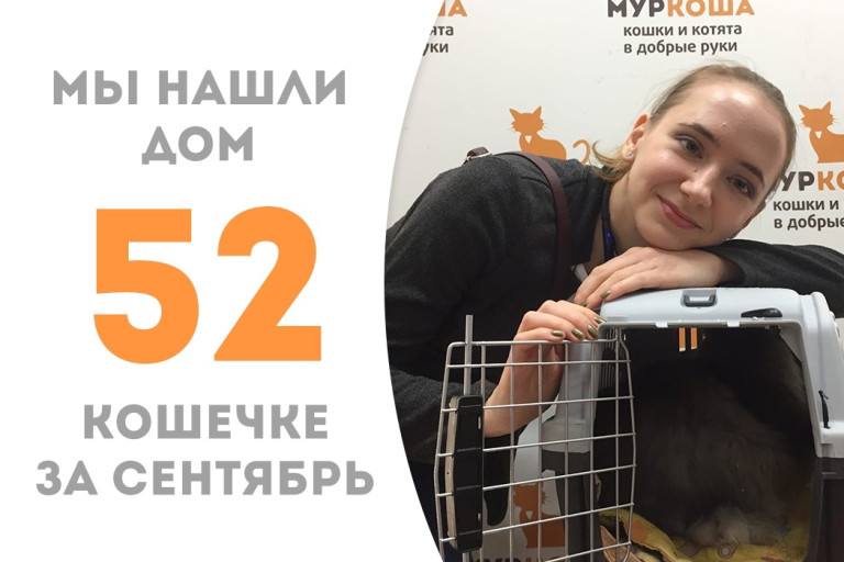 Трёхлетняя кошечка Лэйла встретилась со своей хозяйкой!