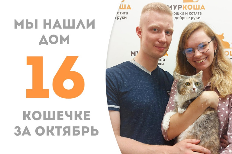 Четырёхлетняя кошечка Линса обрела новый дом! 