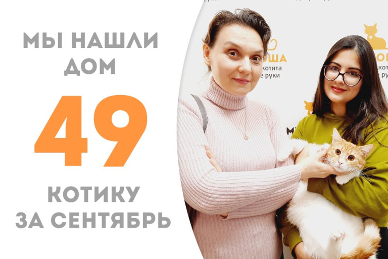 Годовалый котик Липси стал домашним любимцем! 