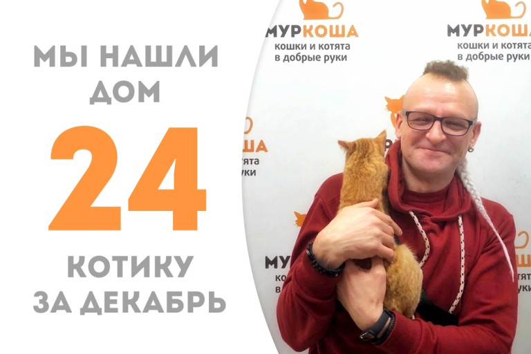 Котёнок Лисичкин нашёл доброго хозяина, проведя менее месяца в приюте! 
