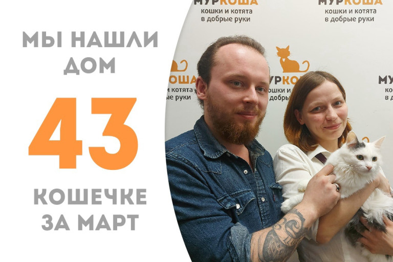 Кошечка Лолипопа стала домашней и счастливой!