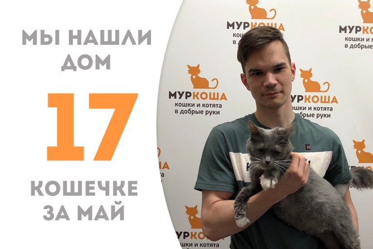 Мы нашли нового хозяина для восьмилетней кошечки Лолли!