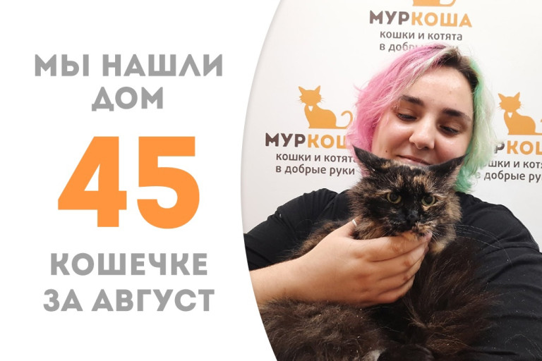 Пятилетняя кошечка Лотти стала домашней! 