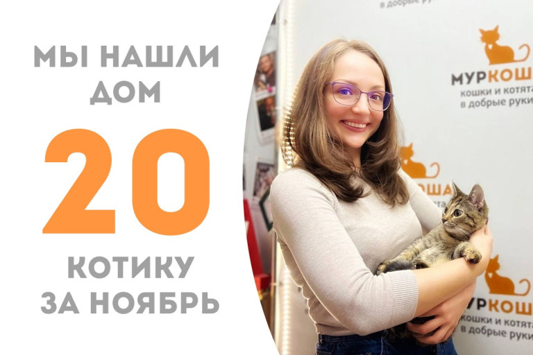 Крошка Луцик стала домашней, проведя два с небольшим месяца в приюте!