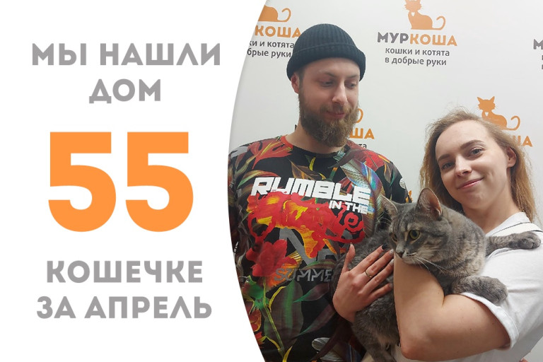 Кошечка Луизиана отправляется в новый дом!