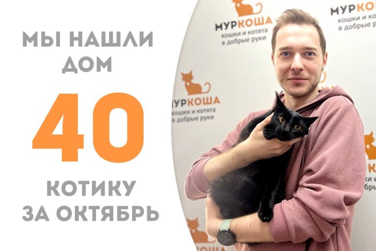 Годовалый котик Лунгу утарахтел в домашнюю жизнь! 