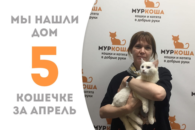 Белоснежная Лунна обрела дом! 
