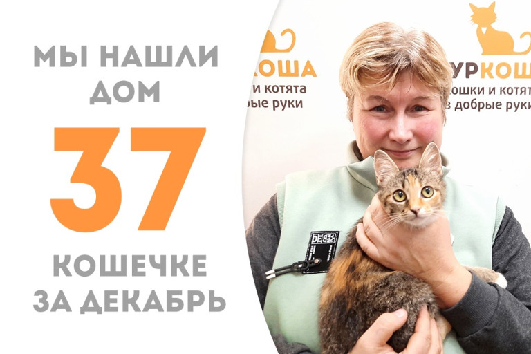 Менее трёх месяцев понадобилось малышке Магнолии для поиска своего человека!