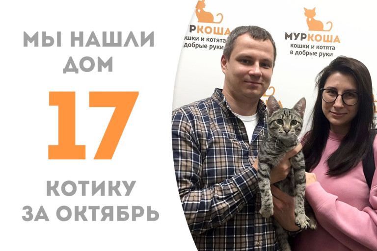 Пятимесячный котёнок Магритт стал домашним, проведя два месяца в приюте!