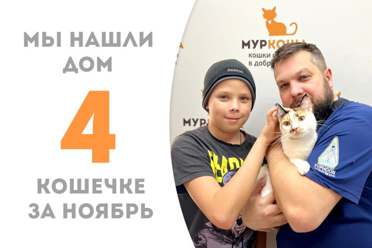 Кошечка Макайла, пробыв три месяца в приюте, встретила добрую семью! 