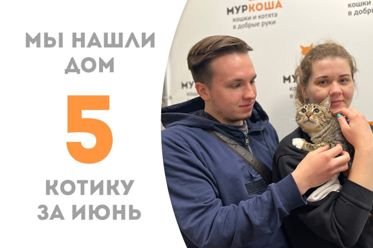 Полуторогодовалый котик Македонский стал домашним и счастливым! 