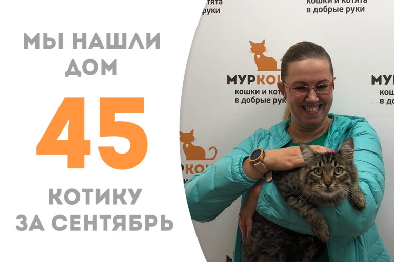 Котик Максикс начинает счастливую домашнюю жизнь спустя пять дней после воцарения в приюте! 