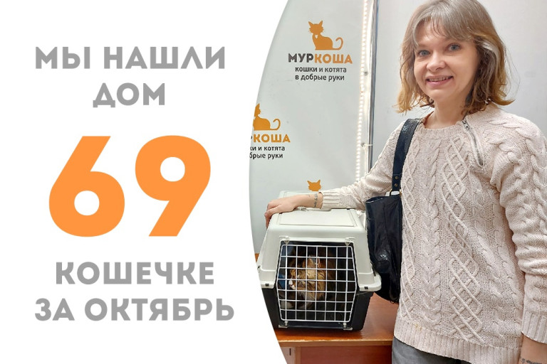 Четырёхлетняя кошечка Маранта обрела дом и семью, проведя месяц в приюте! 