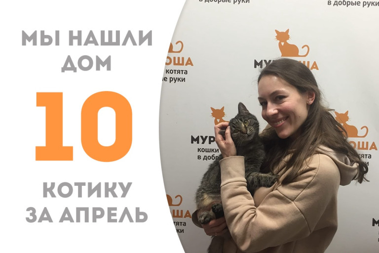 Шестилетний Марчелло вытащил счастливый билет в новую жизнь! 