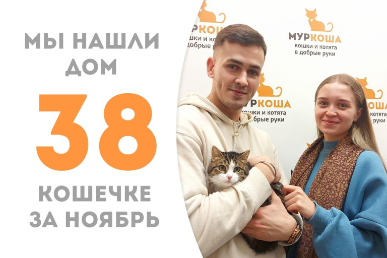 Через два месяца после водворения в приюте малышка Мармеладис встретила своих людей!