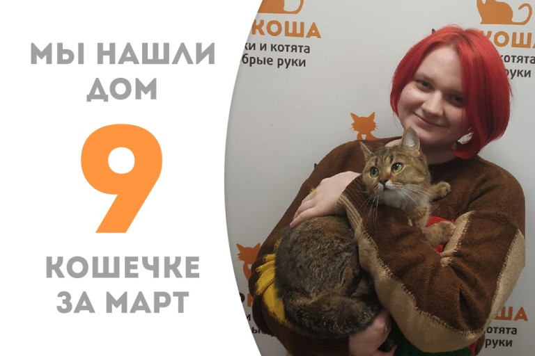 Очаровательная Маруня нашла дом за месяц!
