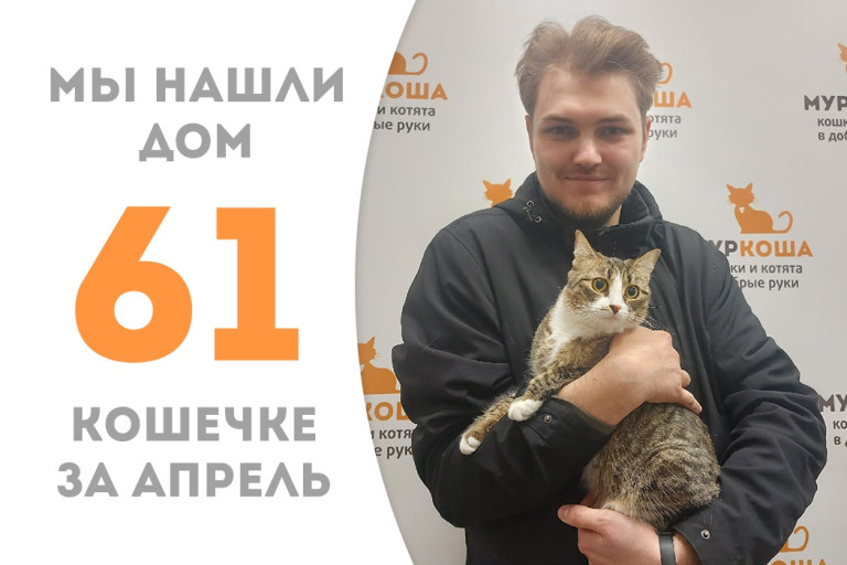 Кошечка Масюся уехала в новый дом!