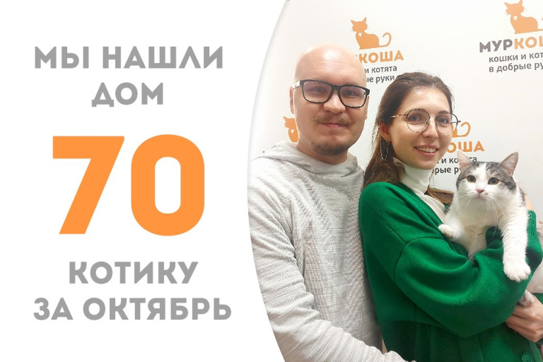 Трёхлетний котик Матвейка уезжает в семью к своему собрату по приюту – Фраю! 